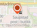 Kiwi Saupstad
