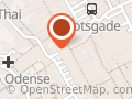 Konen Med Æggene