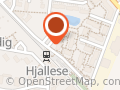Hjallese Fodpleje