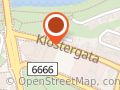 Øya Fysikalske Institutt