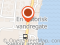Svelvik Fysioterapi Erik Thoresen