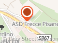 A. S. D. Frecce Pisane