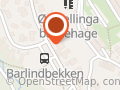 Birkelund Spinnvill