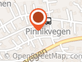 Joker Vingar