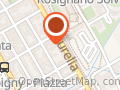 Bear bush self24 rosignano Solvay