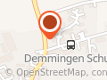Berner Sennenhunde vom Hülenfeld