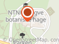 Ringve botaniske hage
