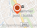 Andreassen Blomster As