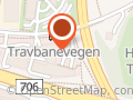 Aider i Trondheim