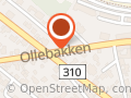 Einar Eriksen - Eriksen Einar