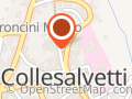 Auser Soccorso Verde Argento