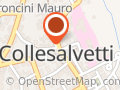 CNA Collesalvetti