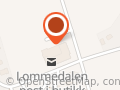 Lommedalen Blomster Og Gaver Wenche Wolmer Mathisen