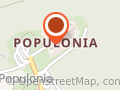 Museo Etrusco di Populonia Collezione Gasparri