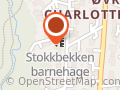 Multiservice Trondheim Bjørn Sundset