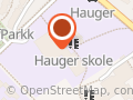 Hauger skole