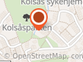 Fløytespill Ragnhild Døsen