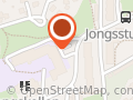 Jong Skole