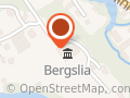 Bergslia Gjestestuer AS