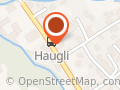 Haugli Pizza & Grill