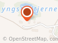 Live Lyngstad