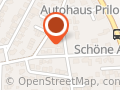 Kleiner Münsterländer vom Langenmoorsberg