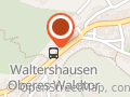 Immobilienmakler & -verwalter Jörg Thier