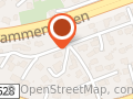 Ottersens Action Bud Og Transport