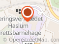 Nadderudrevyen