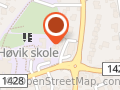 Auris Helse As