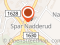 Kiwi Nadderud