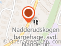 Nadderud Speidergruppe av Nsf