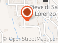 Borile (Srl)