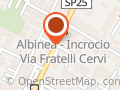 Tieri Anna