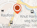 Interoptik Raufoss