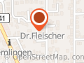 Carsten Fleischer