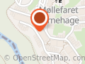 Skjeggestad Thale Helene