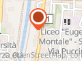 Ristorante Pizzeria Orchidea Nera