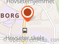 Psykolog Arne Holtet