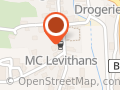 Leviathans