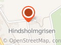 Hindsholmgrisen