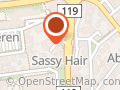 Sassy Hår