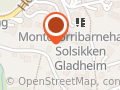 Holmenkollen fysikalske institutt Irlin Rollum - Holmenkollen fysikalske institutt