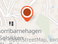 Scheie Anne Ingebjørg Aamdal - Anne Ingebjørg Aamdal Scheie