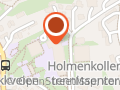 Holmen skole