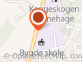 Bygdøy Loppemarked