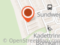 Russisch in Deutschland