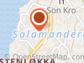 Torun Nordskaug
