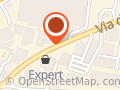 Expert