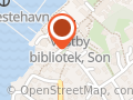 Randi Holløkken